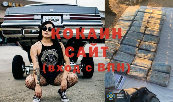 шишки Балахна