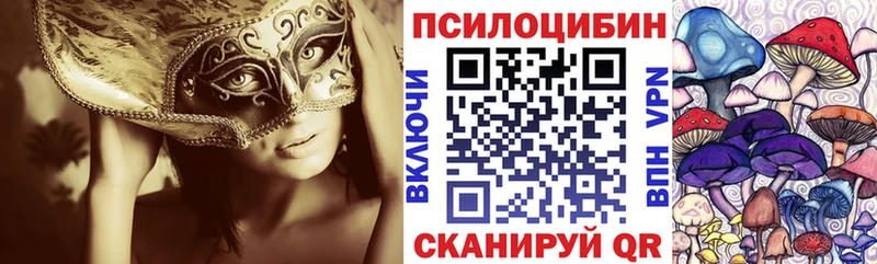 Псилоцибиновые грибы Psilocybe  продажа наркотиков  Котельники 